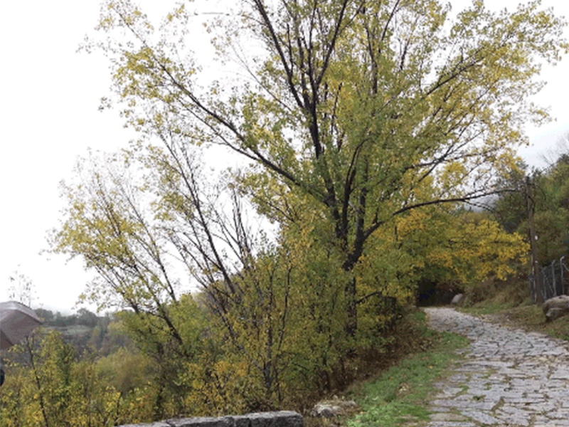 Entorno de Baños de Montemayor